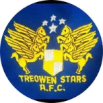 Escudo de Treowen Stars