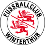Escudo de Winterthur II