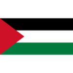 Escudo de Palestine