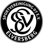 Escudo de Elversberg U19