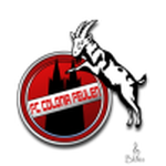 Escudo de Feulen
