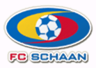 Escudo de Schaan