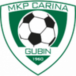 Escudo de Carina Gubin