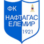 Escudo de Naftagas