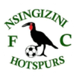 Escudo de Nsingizini Hotspurs