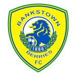 Escudo de Canterbury Bankstown