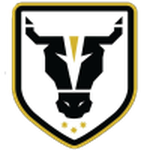 Escudo de Bulls Academy