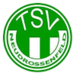 Escudo de Neudrossenfeld
