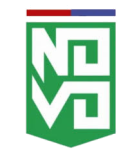 Escudo de Novo Esporte Clube