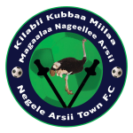 Escudo de Negelle Arsi