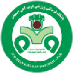 Escudo de ZOB Ahan
