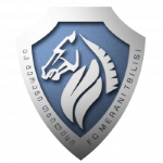 Escudo de Merani Tbilisi