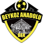 Escudo de Beykoz Anadolu