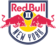 Escudo de New York RB II