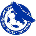 Escudo de Ironi Nesher