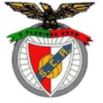 Escudo de Angrense