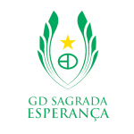 Escudo de Sagrada Esperança