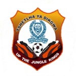 Escudo de Police XI