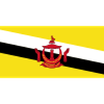 Escudo de Brunei