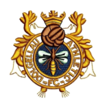 Escudo de Dolgellau Athletic