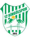 Escudo de 12 Bingölspor
