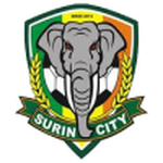 Escudo de Surin