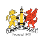 Escudo de Tredegar Town