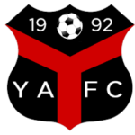 Escudo de Ynyshir Albions