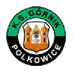 Escudo de Górnik Polkowice