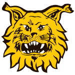 Escudo de Ilves II