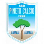 Escudo de Pineto