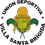 Escudo de Villa Santa Brígida